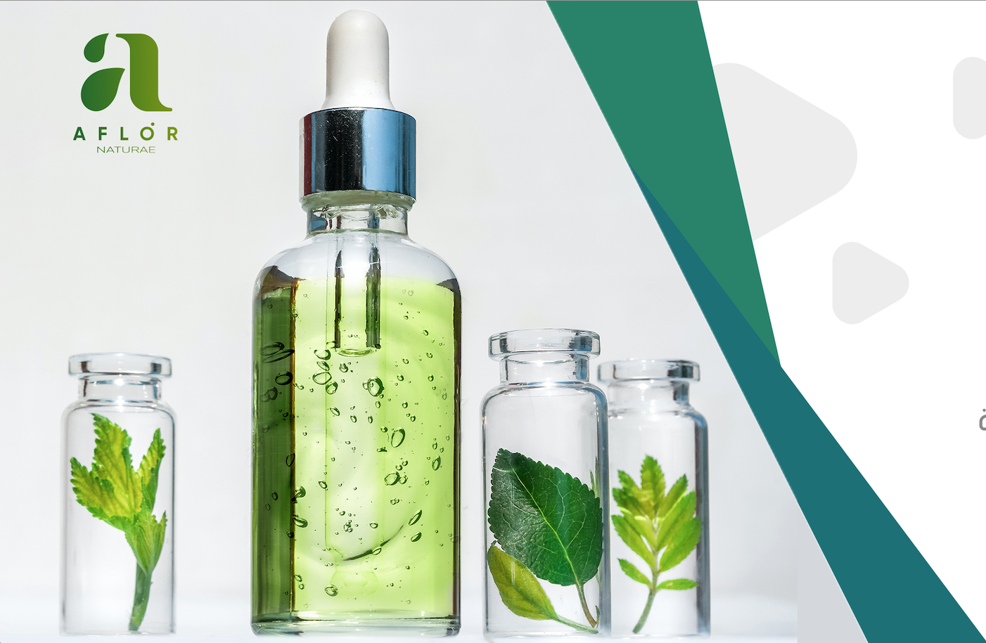 Production d'huiles essentielles